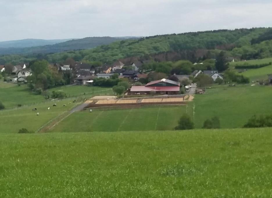"Die Jockeysuite" Auf Unserem Reiterhof Birkenbeul Exterior photo